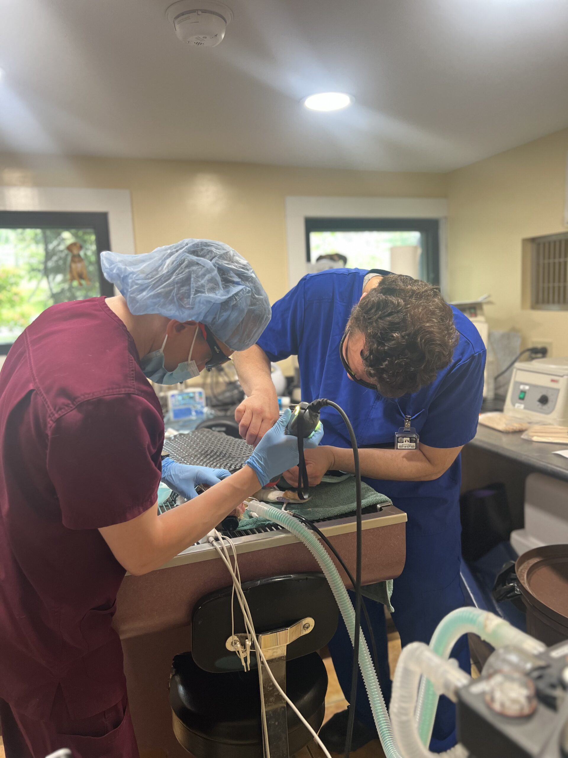 Dr performing Additional Surgical and Supportive Services