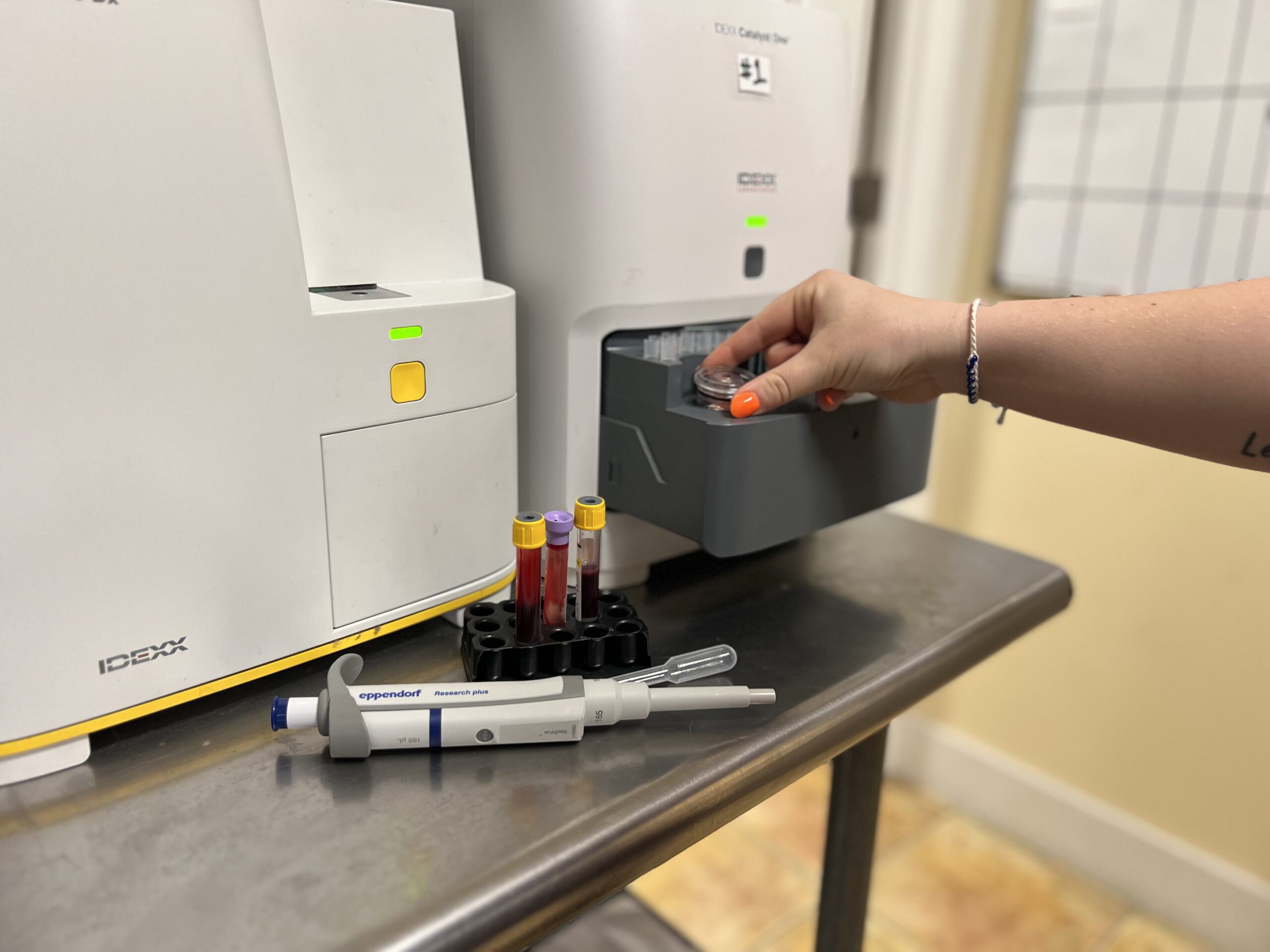 veterinary with high quality exams
