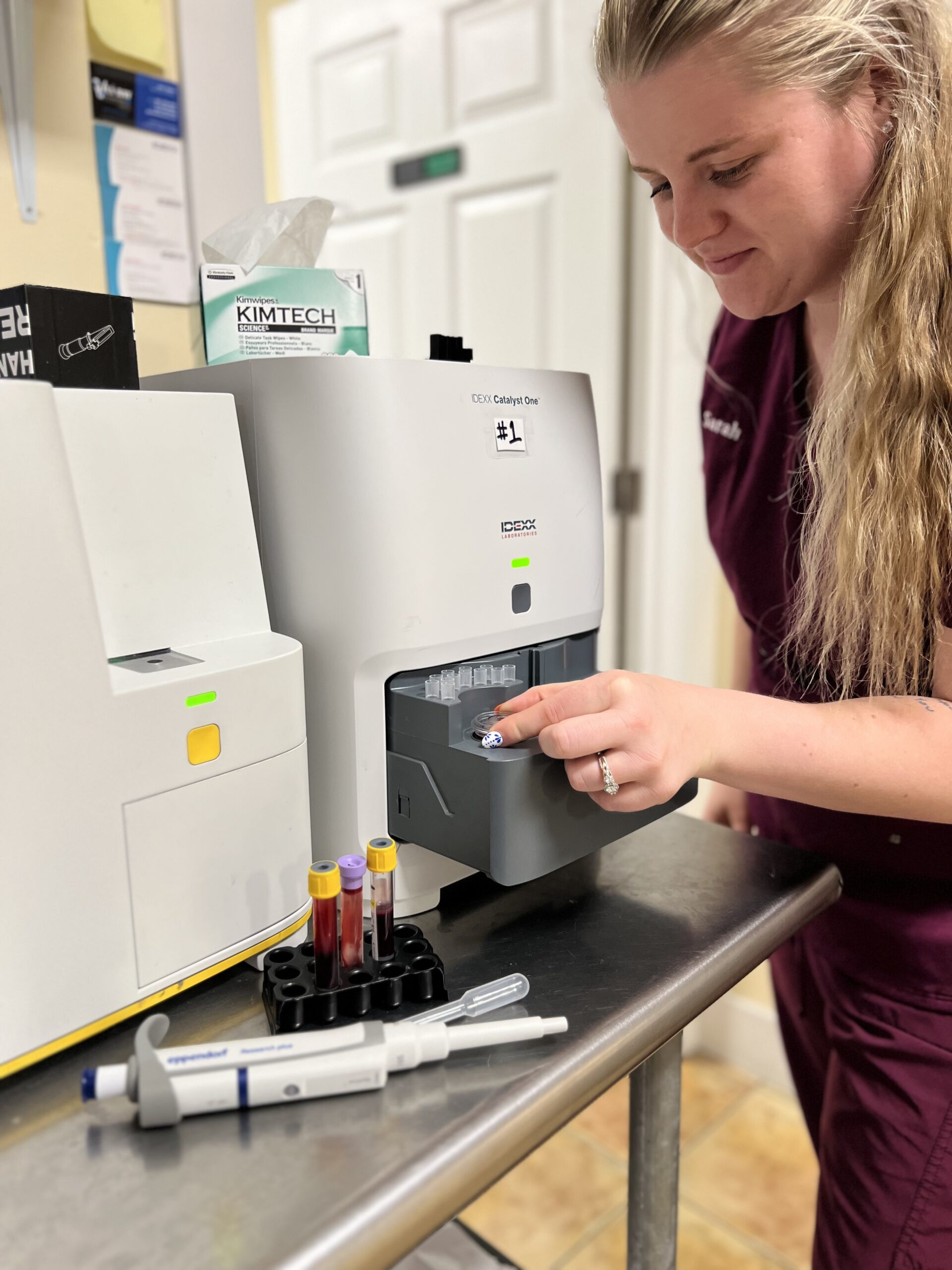 Veterinarian performing High quality veterinary diagnostics