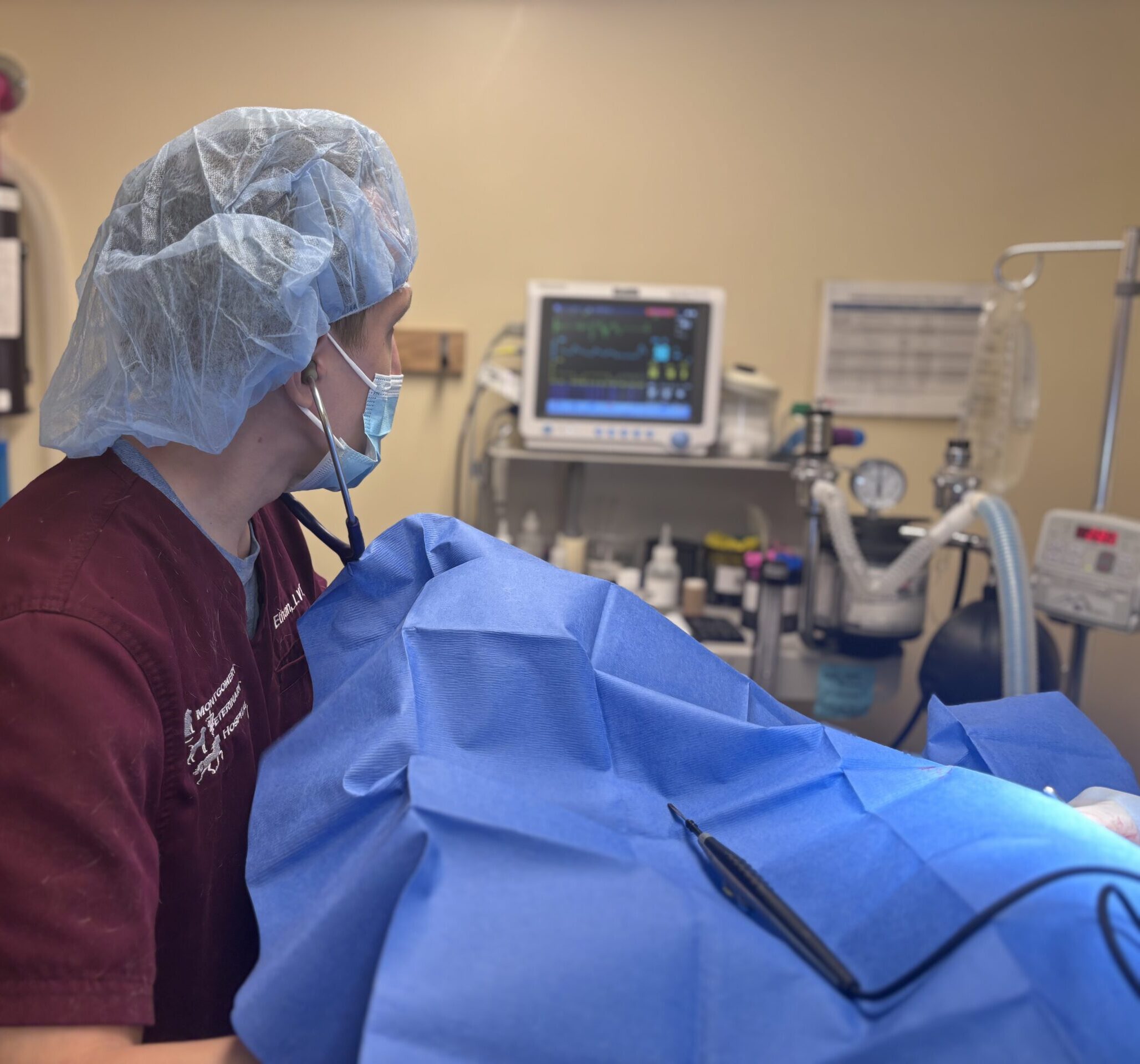 Veterinary technician monitoring patient during spay neuter surgery at Montgomery Veterinary Hospital
